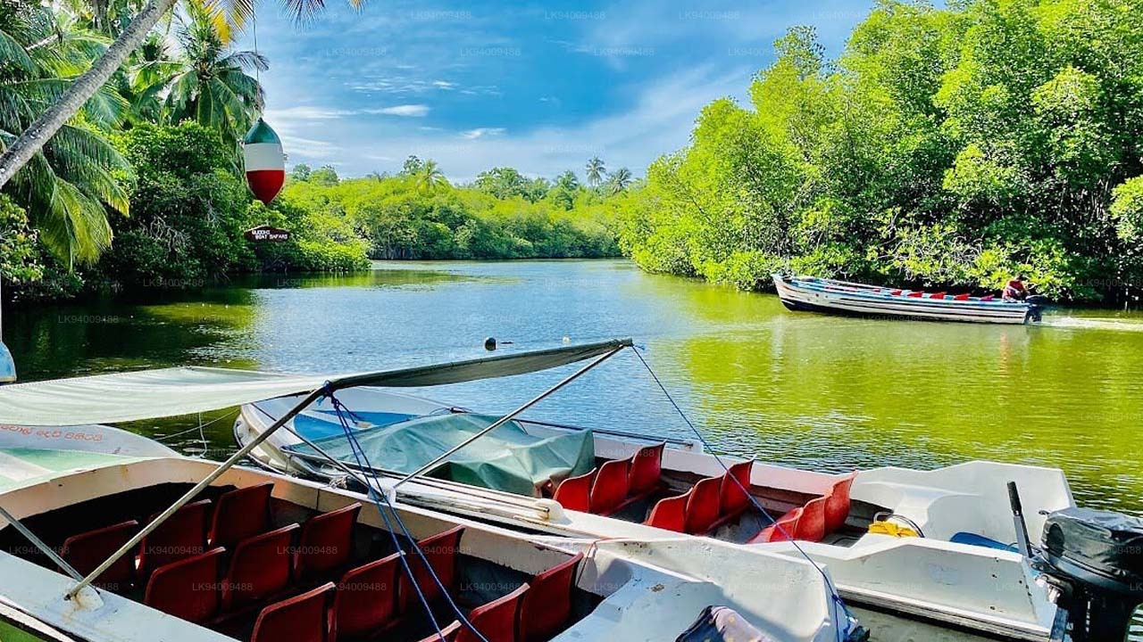 Madu River Boat Safari – A Serene Journey Through Nature’s Heart